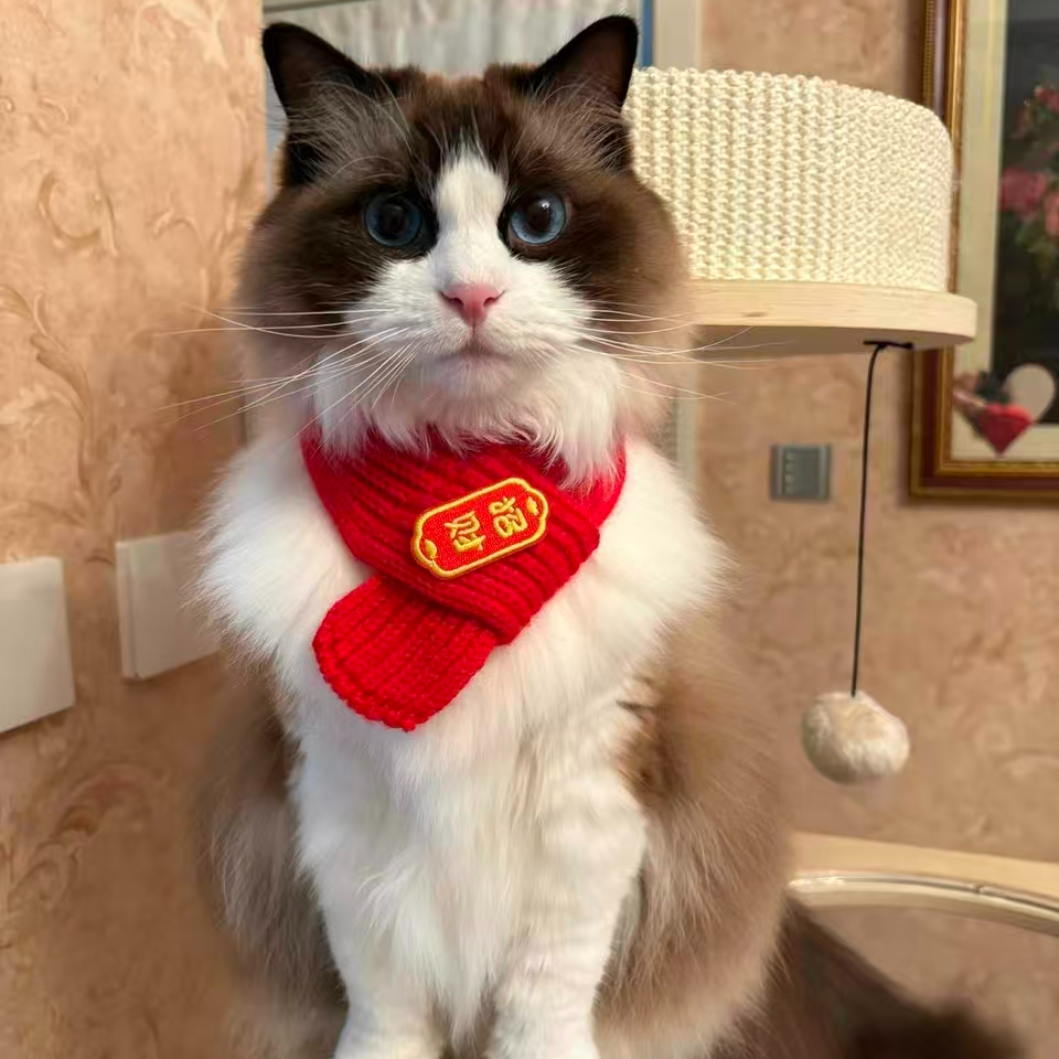 宠物新年围巾猫咪狗狗通用针织保暖猫狗保暖冬季围脖过年红色宠物