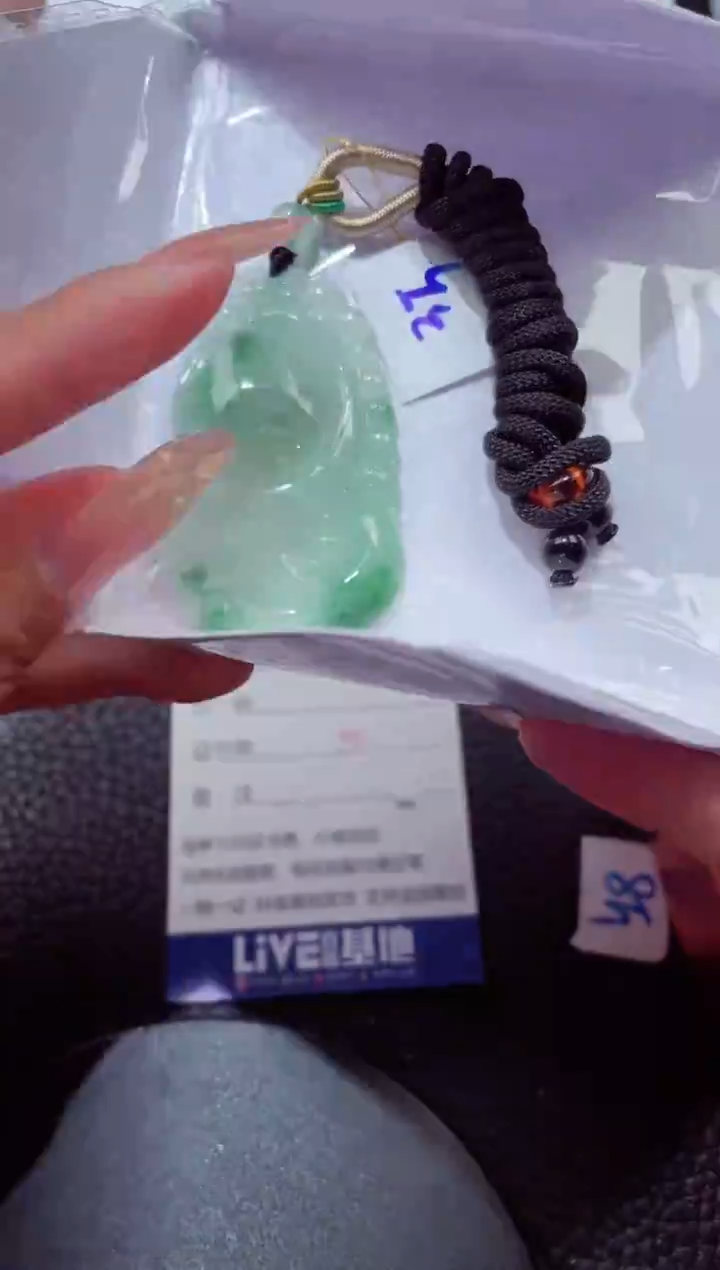 颈饰未镶嵌翡翠669