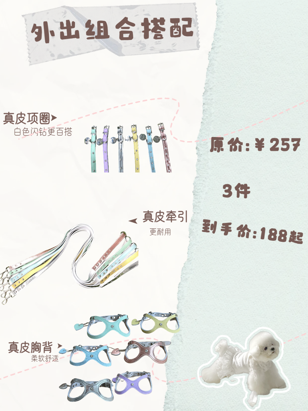 宠物夏日外出组合搭配