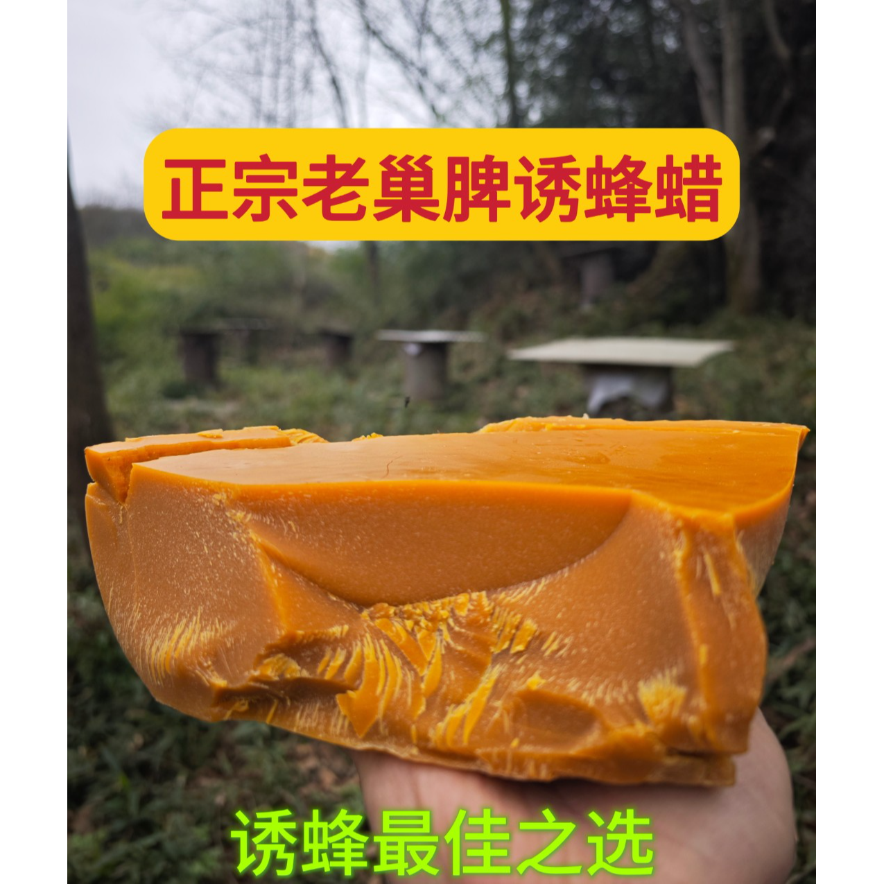 正宗老巢脾诱蜂蜡  快速来蜂 户外诱蜂