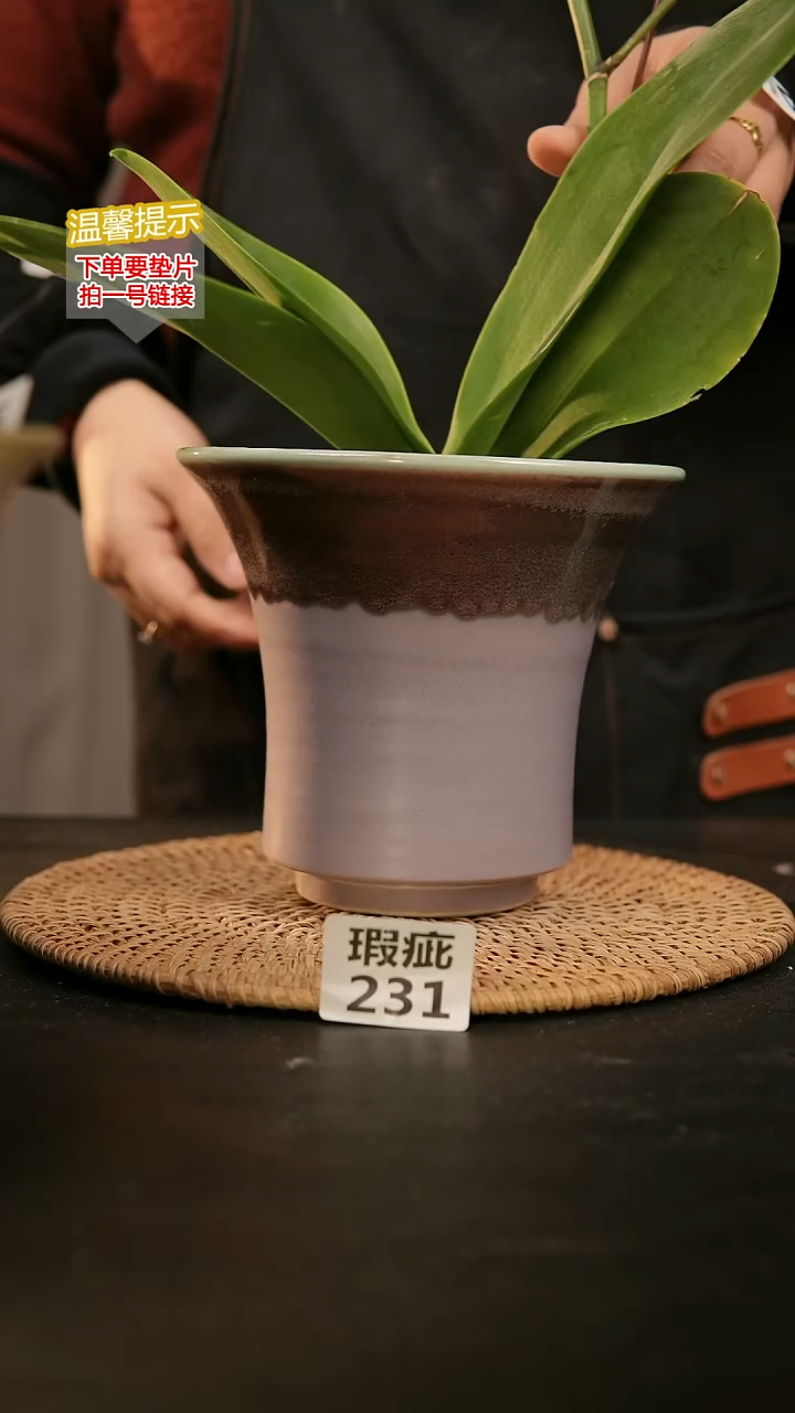 瓷片231瑕疵款，口约15  高约15