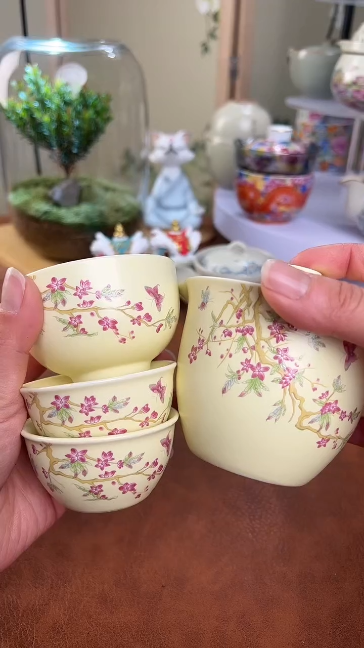 【闪购商品】老实人茶具铺快客