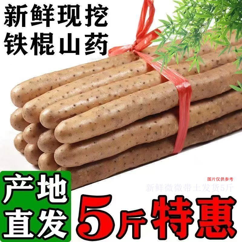 铁棍山药五斤软糯香甜营养美味生鲜蔬菜带土30-40厘米