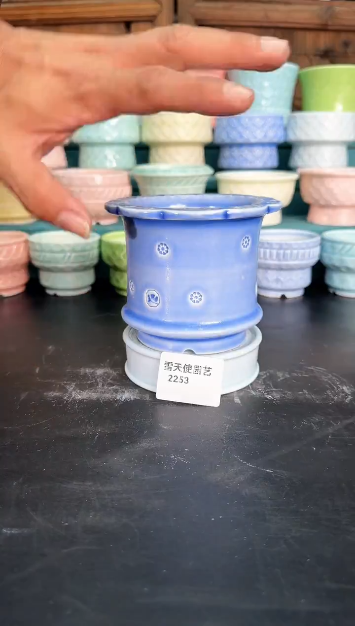 2253号    8口径       默认微瑕