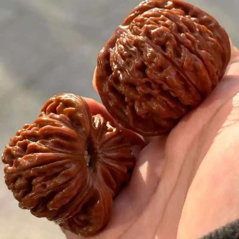 文玩核桃狮子头精品