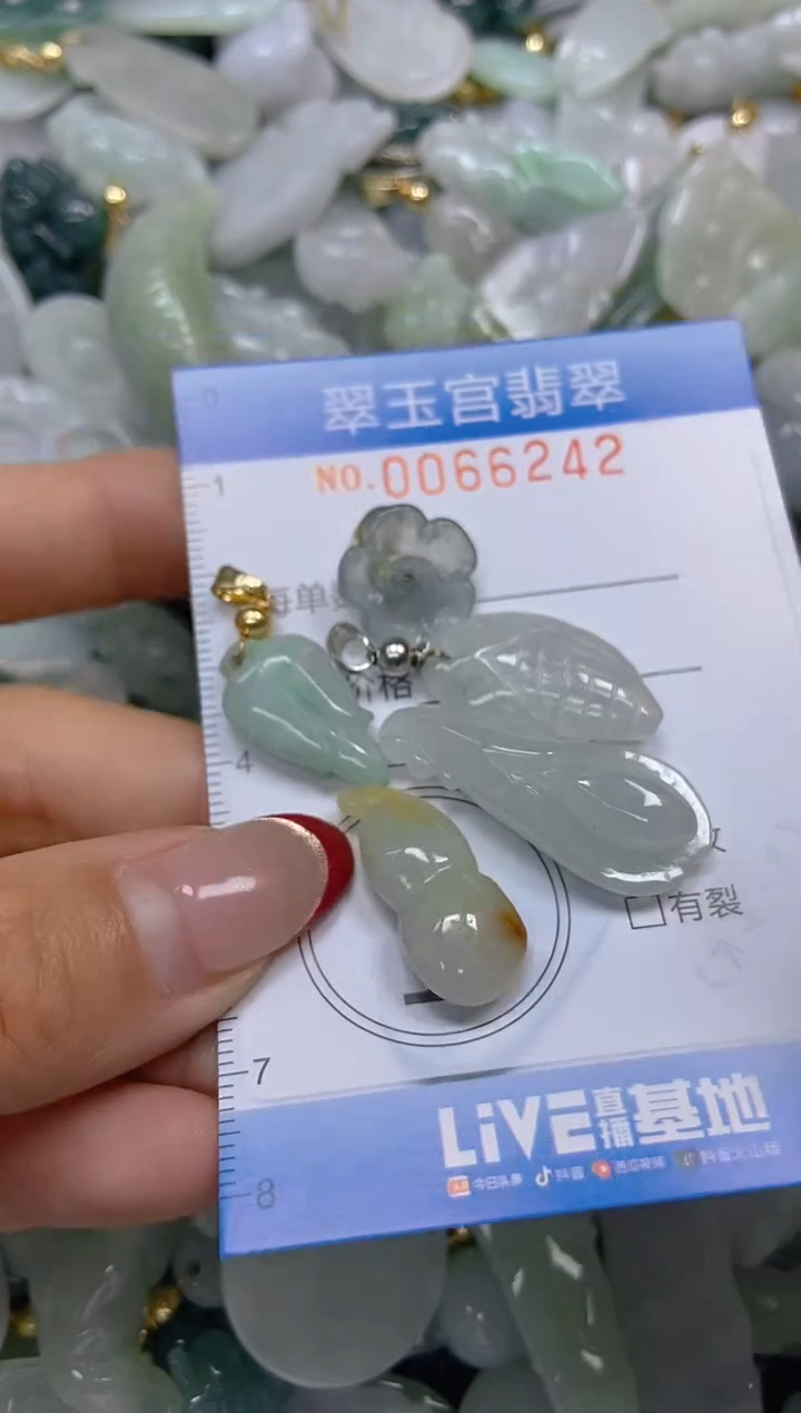 【闪购商品】翡翠颈饰未镶嵌闪购0066242