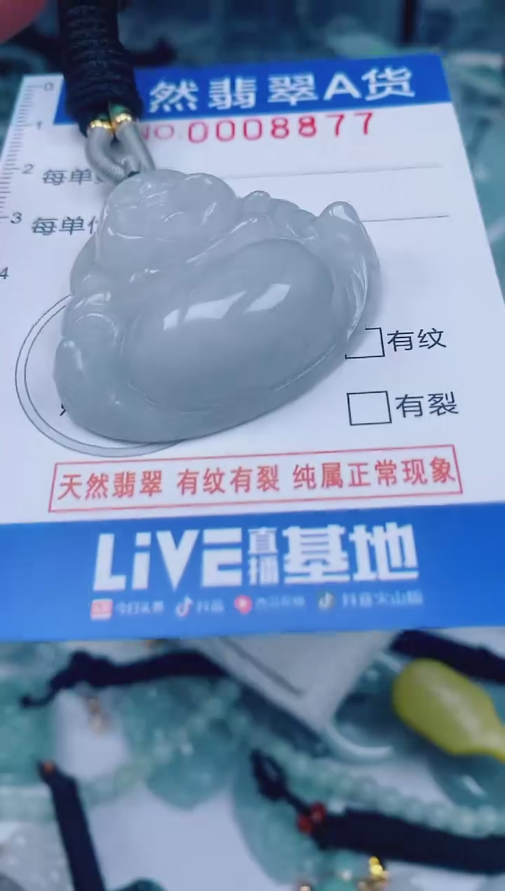 颈饰未镶嵌翡翠00008877