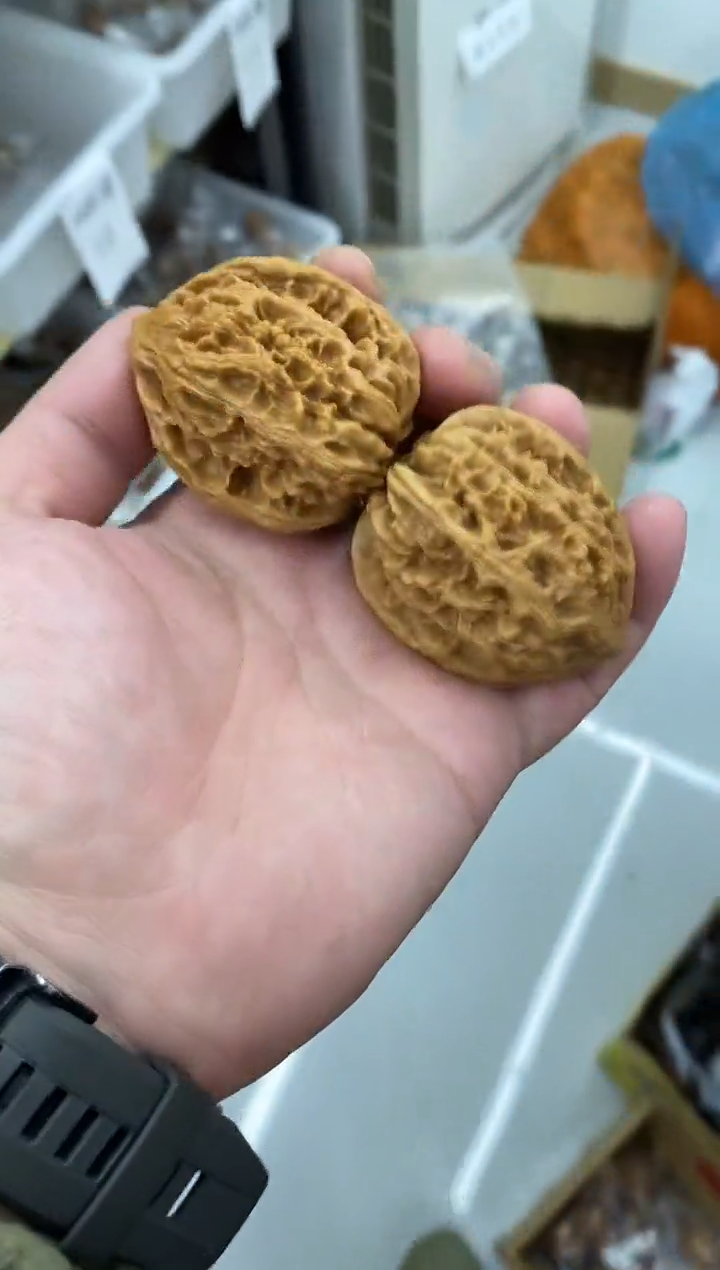 核桃【赤龙鸡心】精品已打底#4677