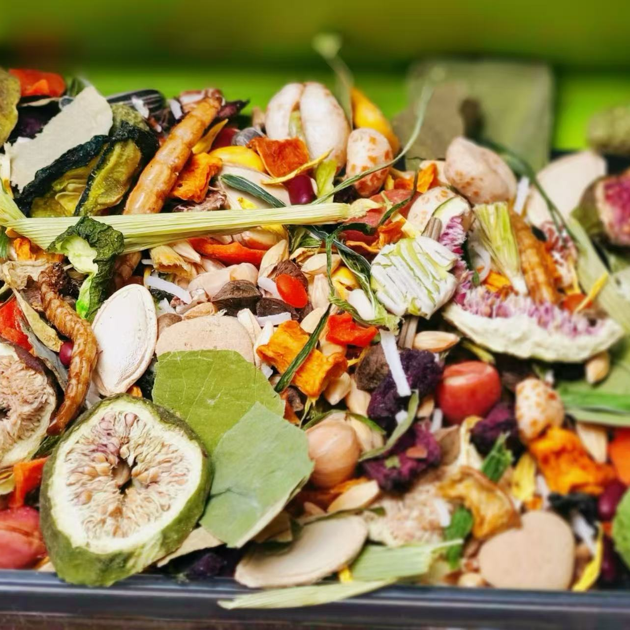 金丝熊自制长肉美毛金丝熊口粮