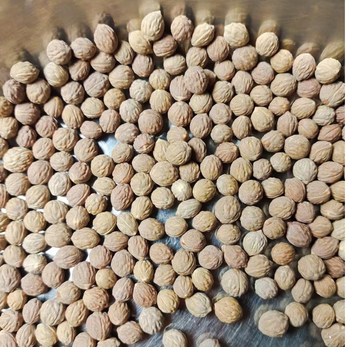 【酸枣核】东北野生磨盘酸枣酸枣核手串国产凤眼龙眼臻选野生酸枣