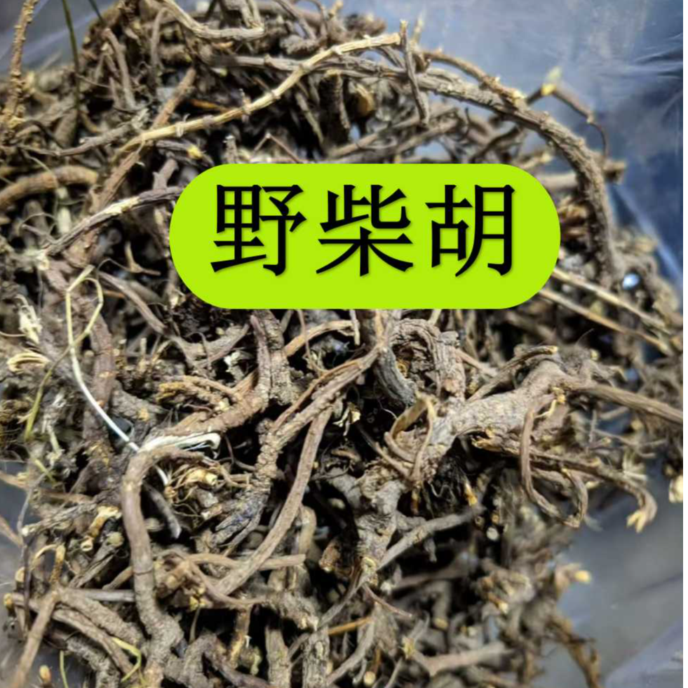 甘肃【柴胡】正品野生北柴胡  中药材野柴胡根 假一罚十