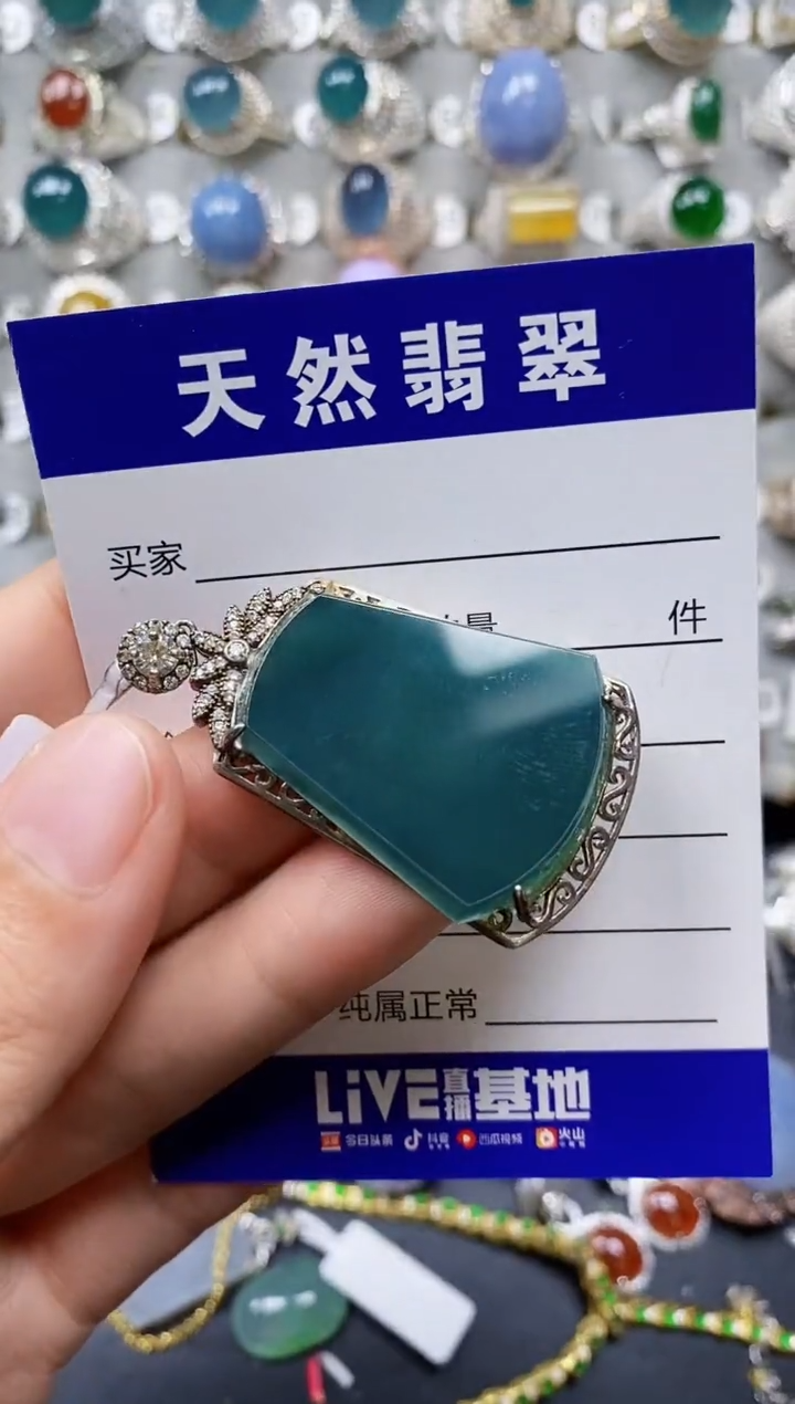 【闪购商品】翡翠颈饰银S925镶嵌0094