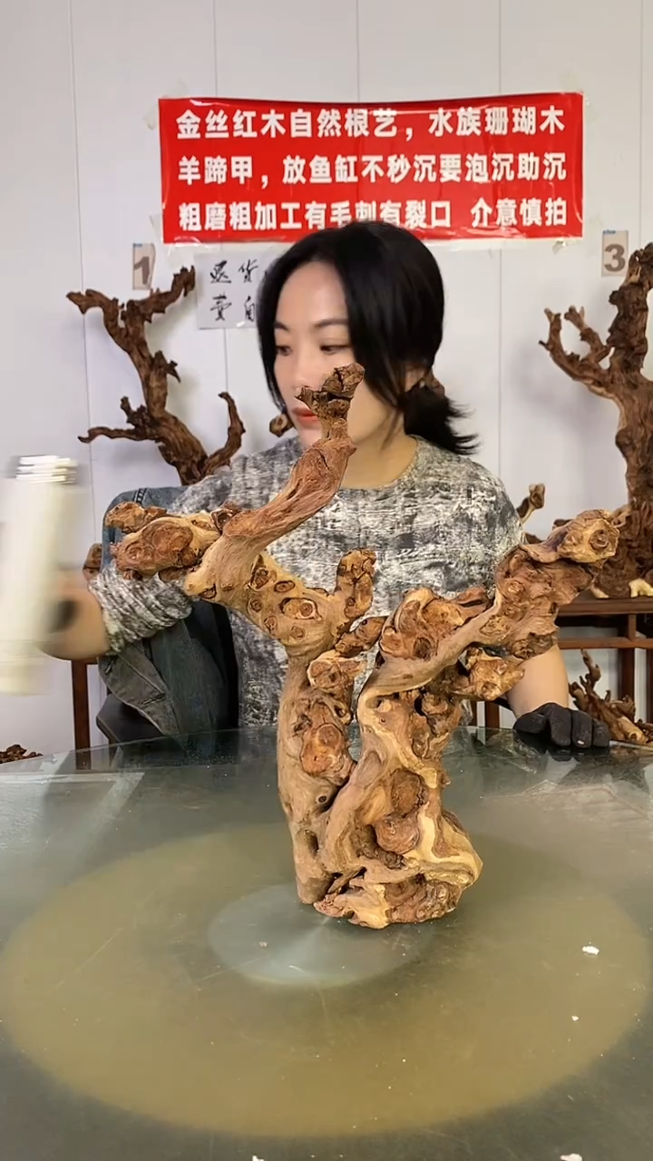 木飞*金丝红木  羊蹄甲