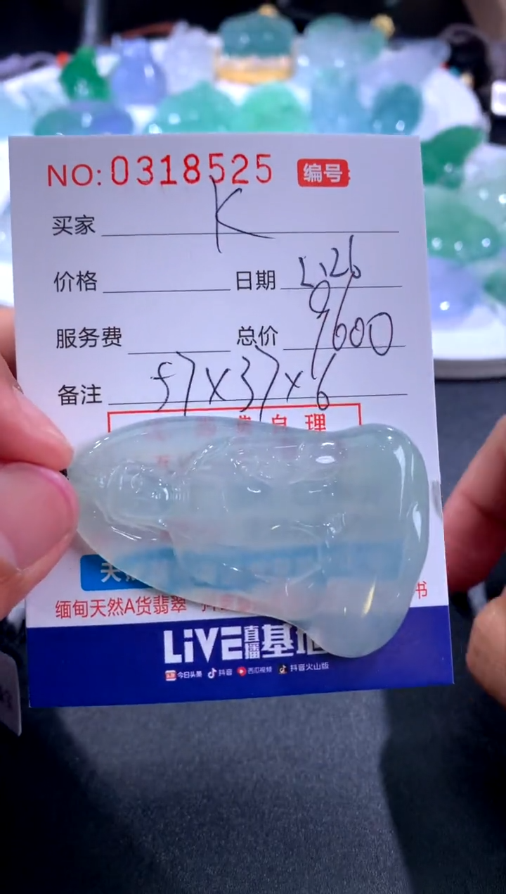 【闪购商品】翡翠颈饰未镶嵌好好