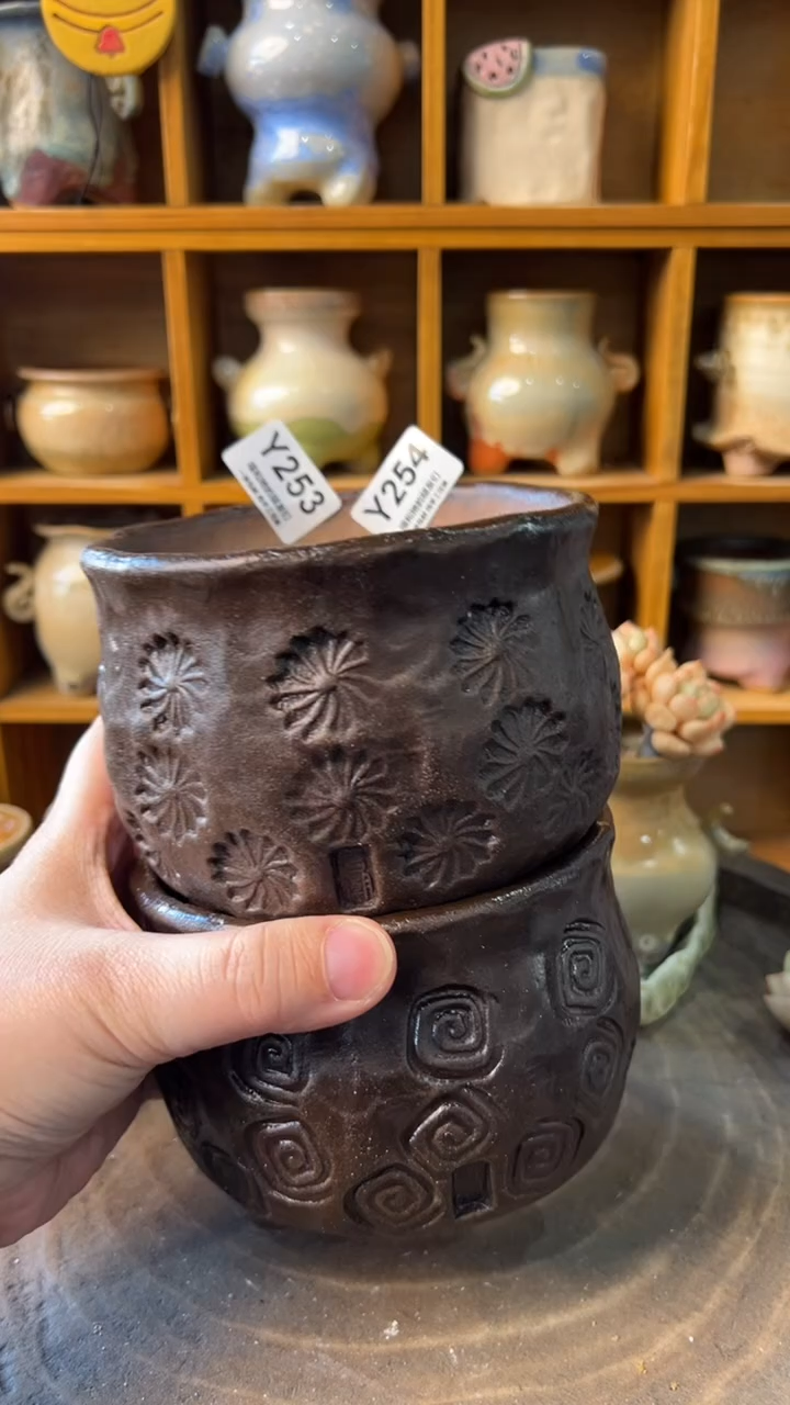 是****?两个253/254【多肉花盆多肉盆】