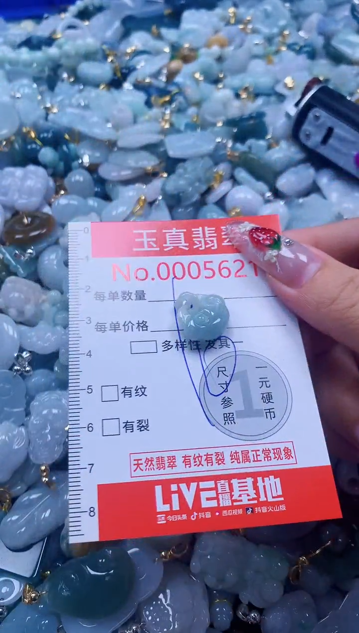 翡翠未镶嵌吊坠(不含链)5621