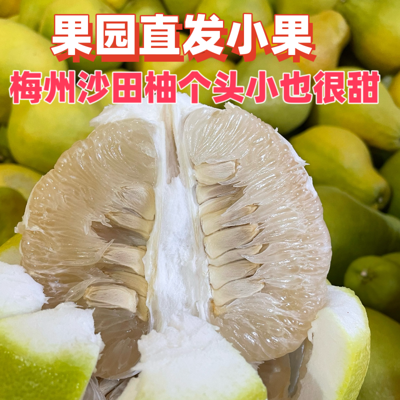 果园直发小果沙田柚高山老树柚子梅县金柚纯甜柚子孕妇水果