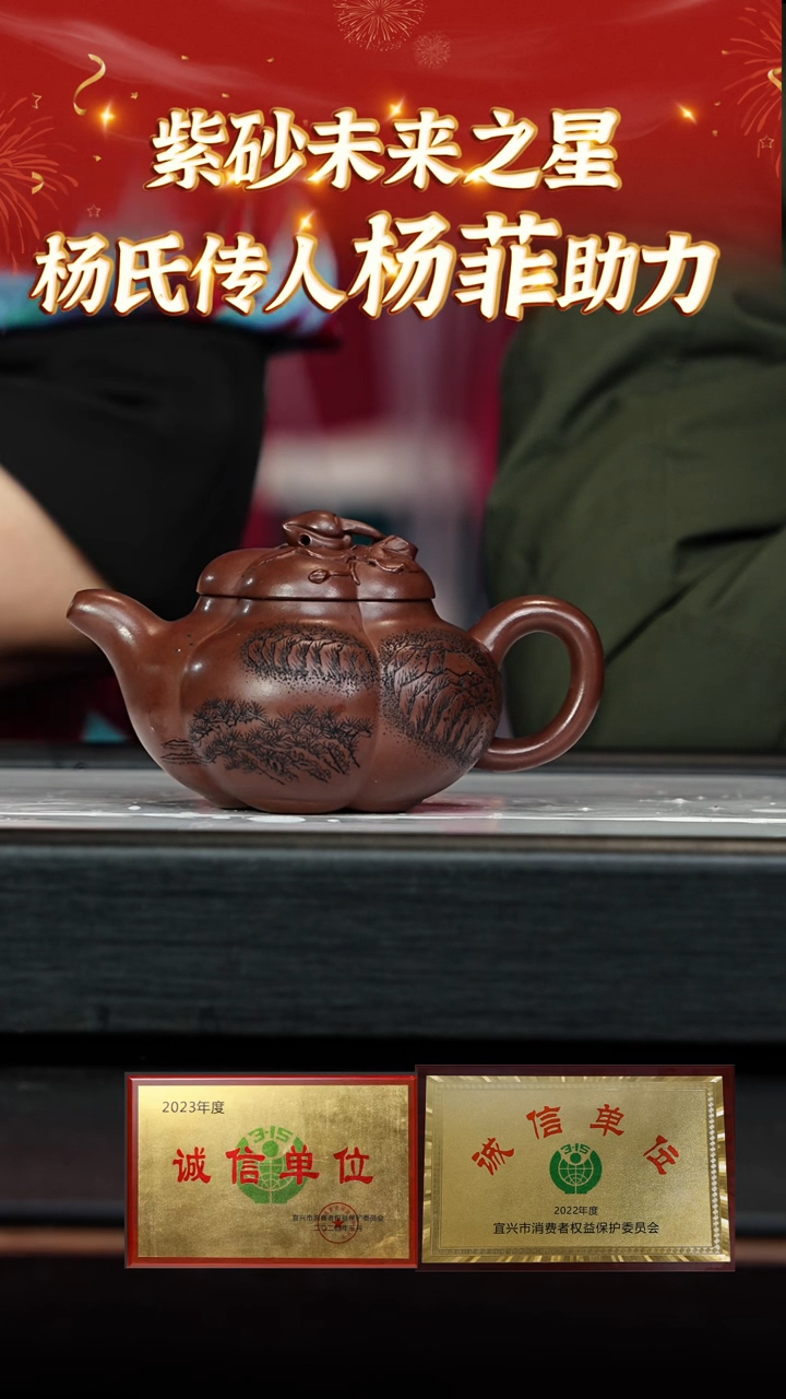 【闪购商品】紫砂茶壶117杨菲老师专场  彭年紫泥