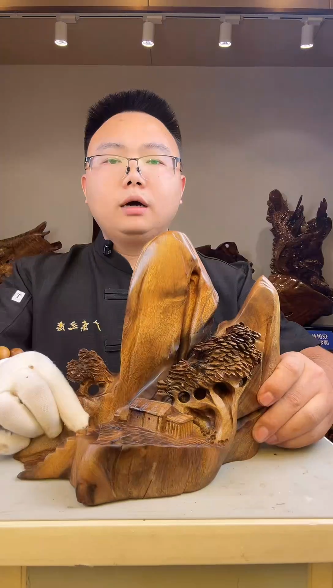 金丝楠早**快金丝楠木小叶桢楠   B09