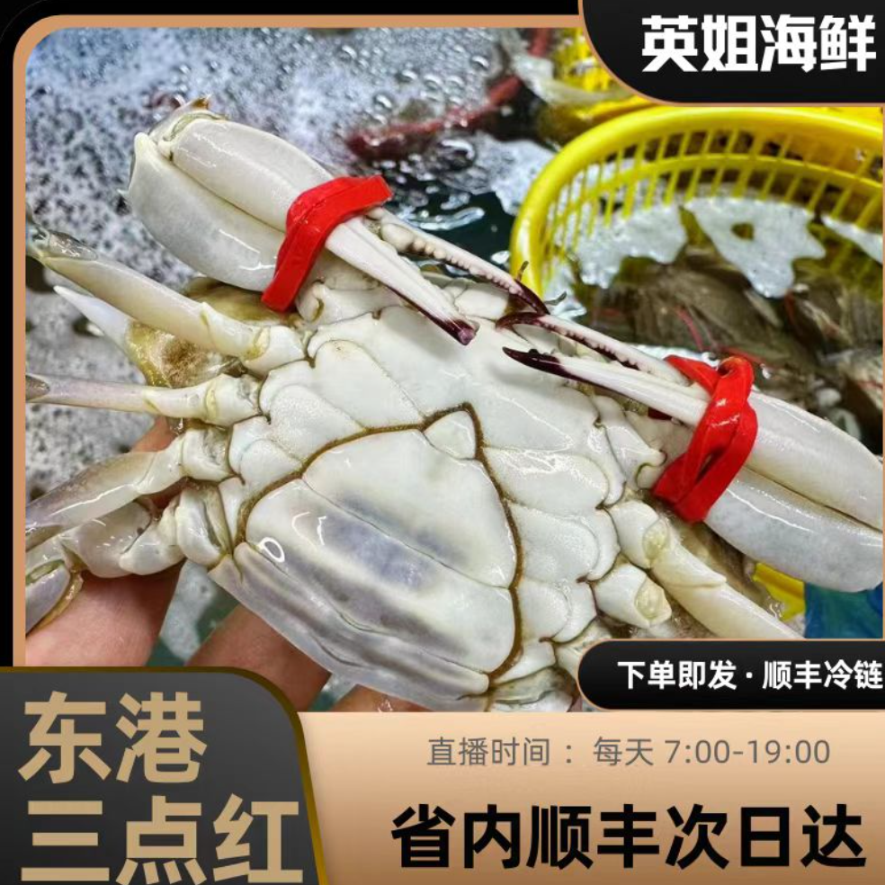 东港三点红满黄+基围虾 共3斤起 蟹单只3两左右【保鲜不保活】