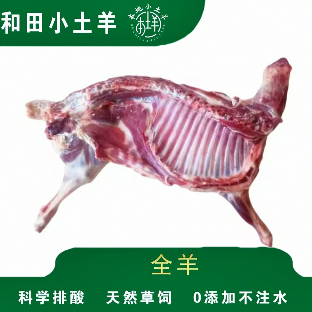 全国包邮新疆和田本地土羊 半只羊14-20斤 肉质新鲜