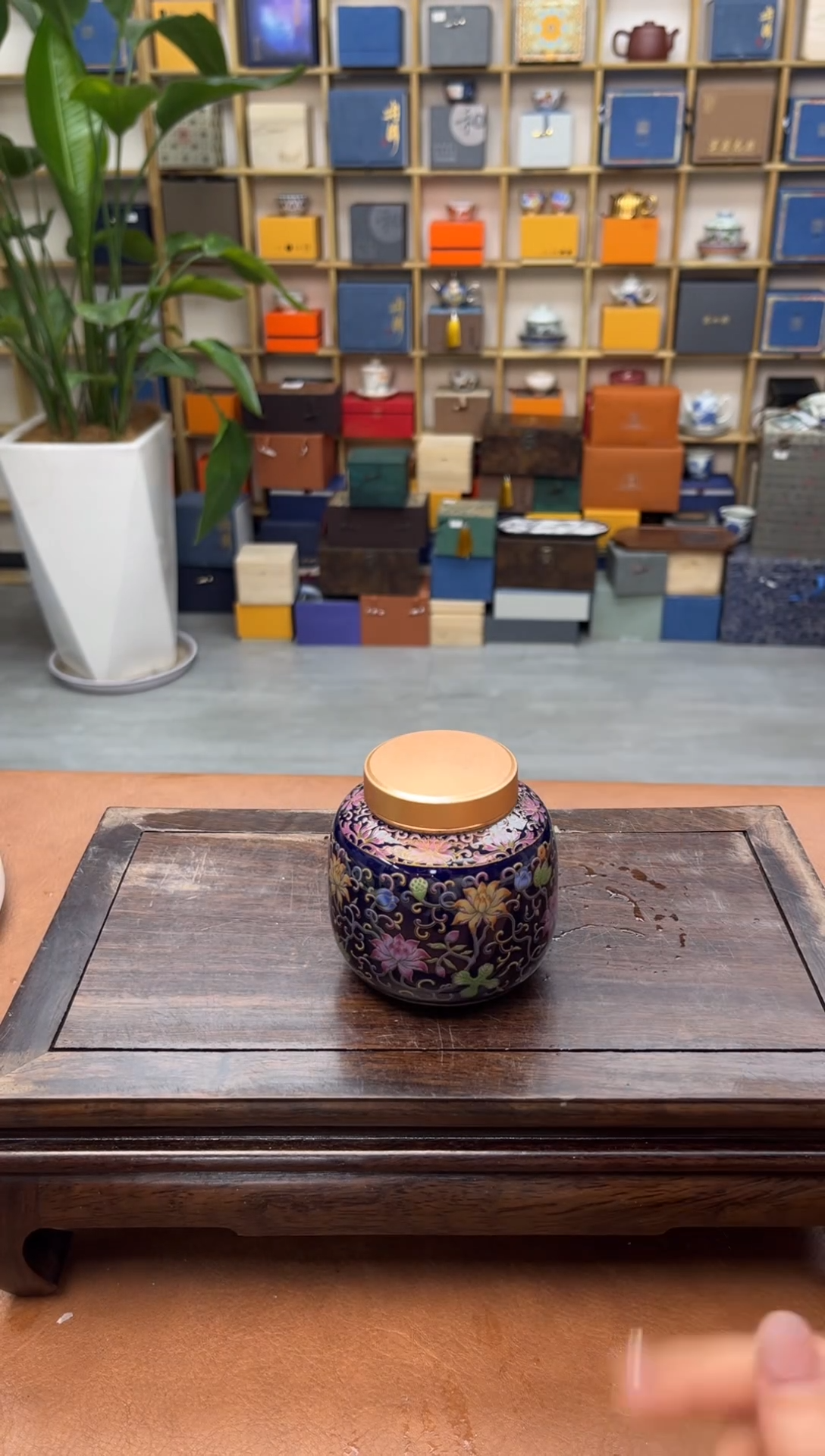 【闪购商品】@@万瓷茶奢馆甄选精品