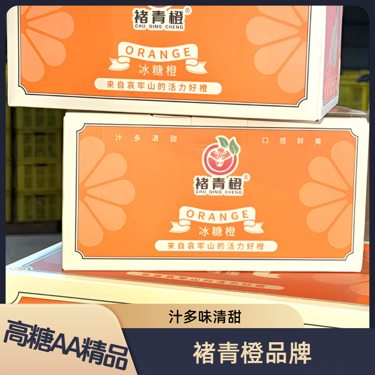 【褚青橙】云南哀牢山冰糖橙清甜爆汁高糖精品礼盒装产地直发现采