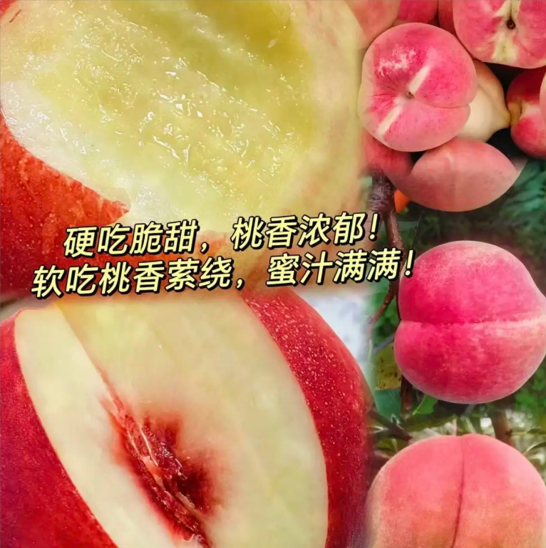 应季水果高山20年老树冬桃现摘现发脆冬桃脆甜桃子