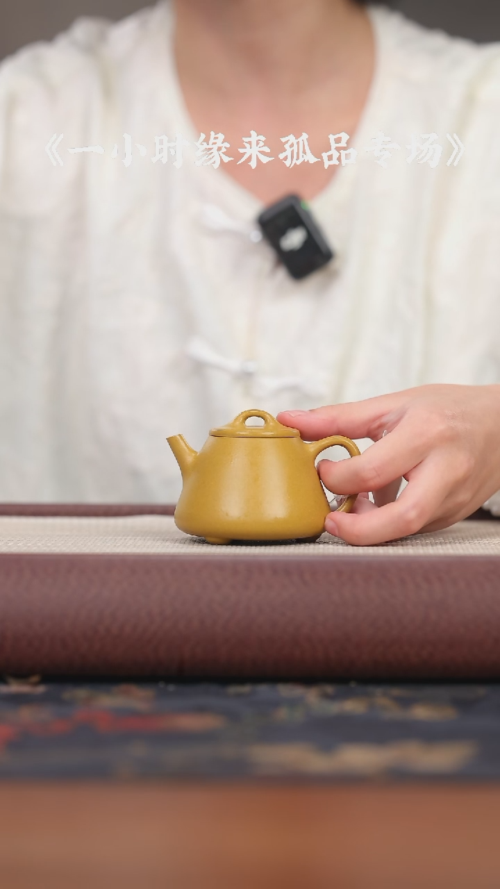 【闪购商品】紫砂茶壶FMT黄金段小高瓢