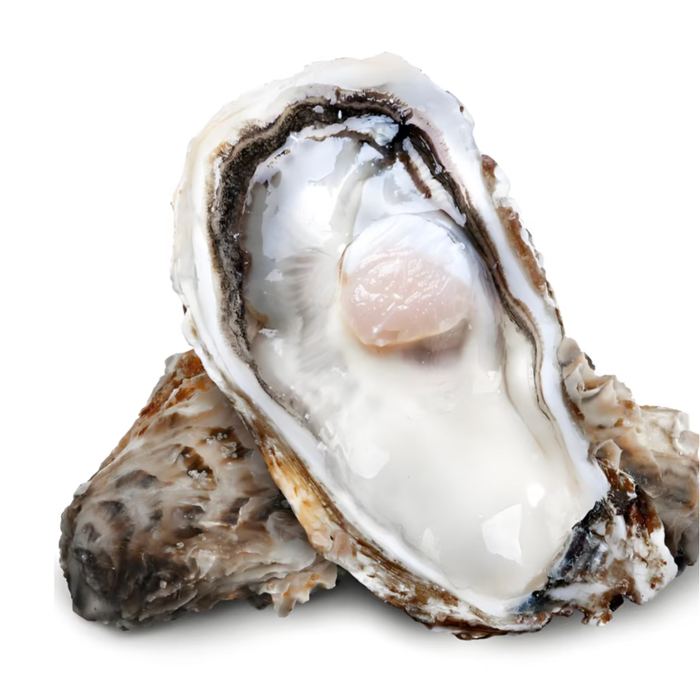 3+生蚝60g （（不开）