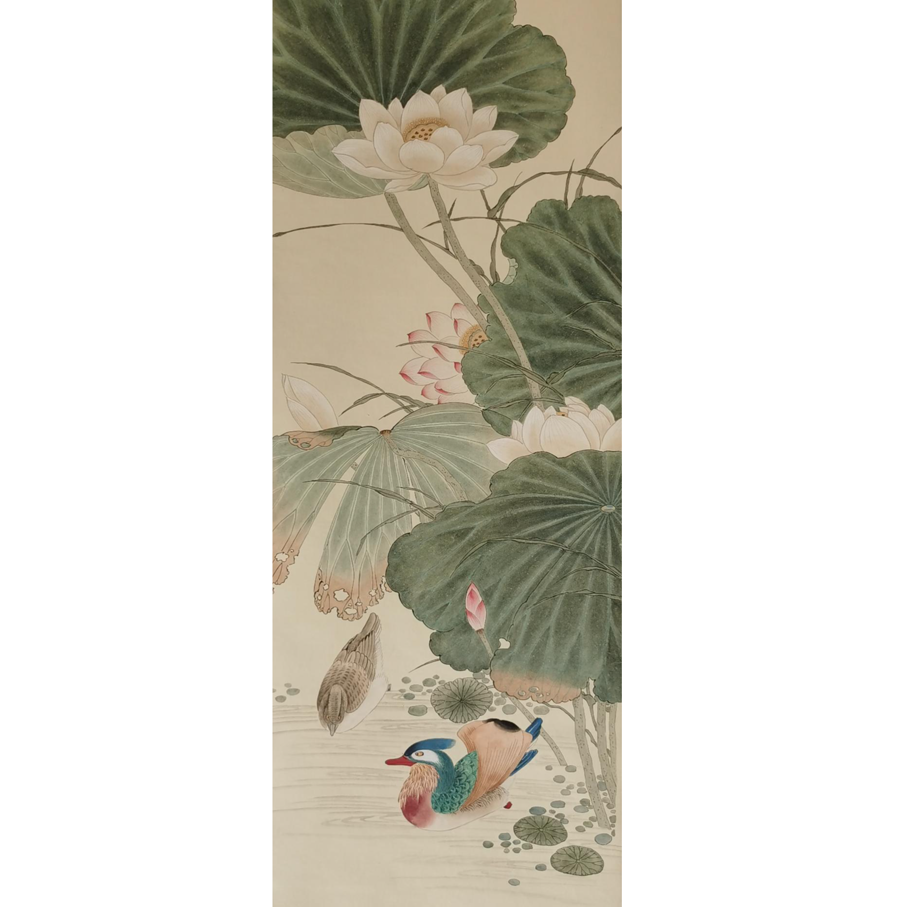 【辽拍】V250709-2-303《花鸟》（4.6平尺) 纸本镜片 yy1223t