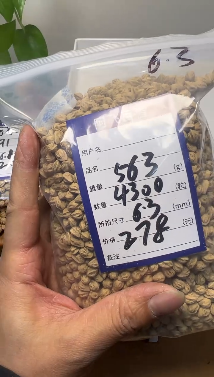 【闪购商品】柏香籽/百香籽吊坠278