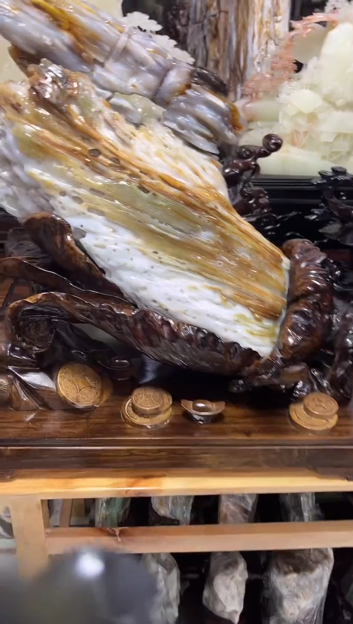 未镶嵌珠宝奇石硅化玉缅甸天然树化玉精品居家摆件