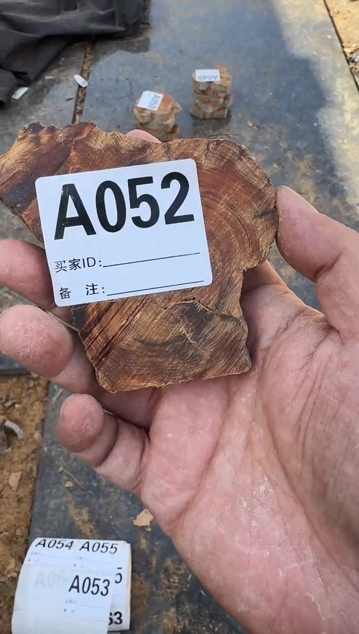 【闪购商品】柏木（崖柏）太行陈化崖柏一片