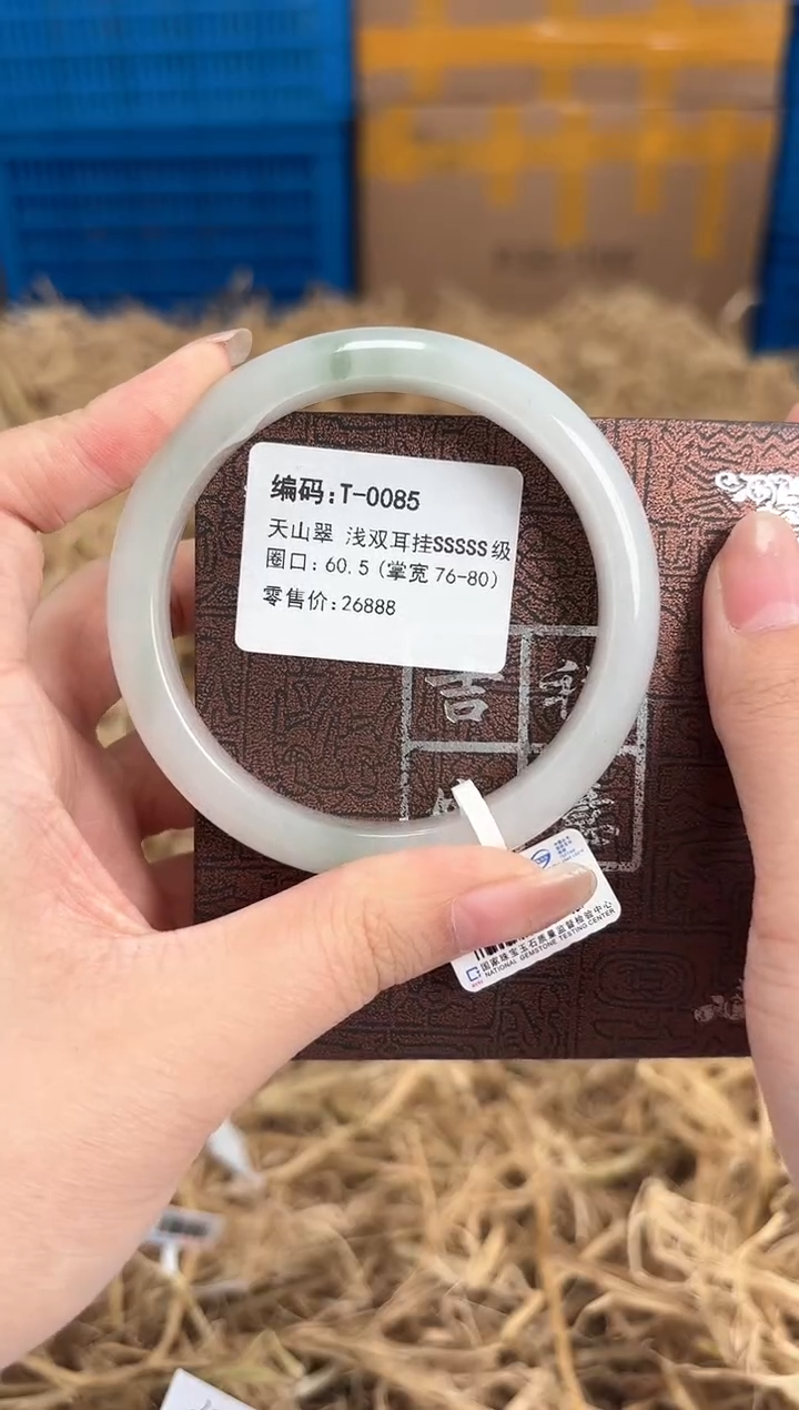 未镶嵌手镯石英质玉T-0085