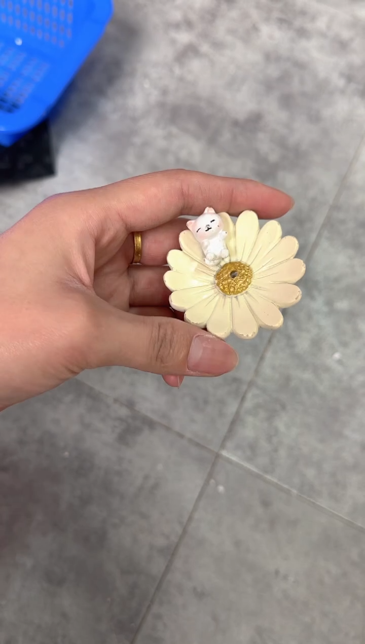 111111111111小菊