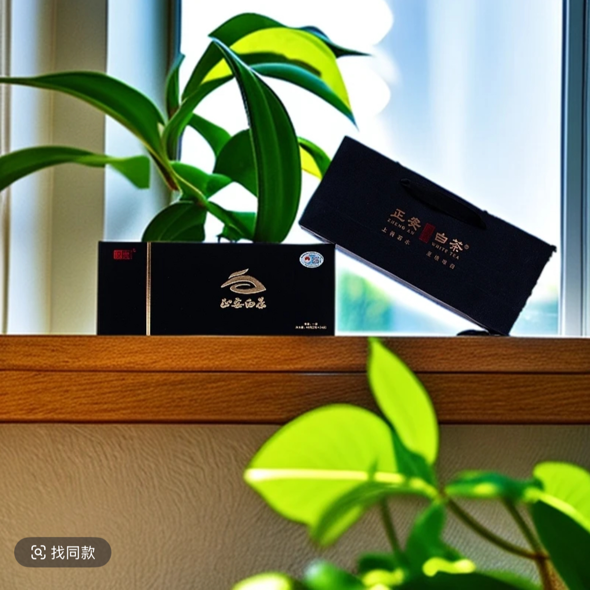 正安白茶【高山雨雾头芽茶48g礼盒装】