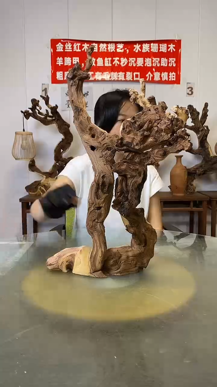 香榧木金丝红木   羊蹄甲