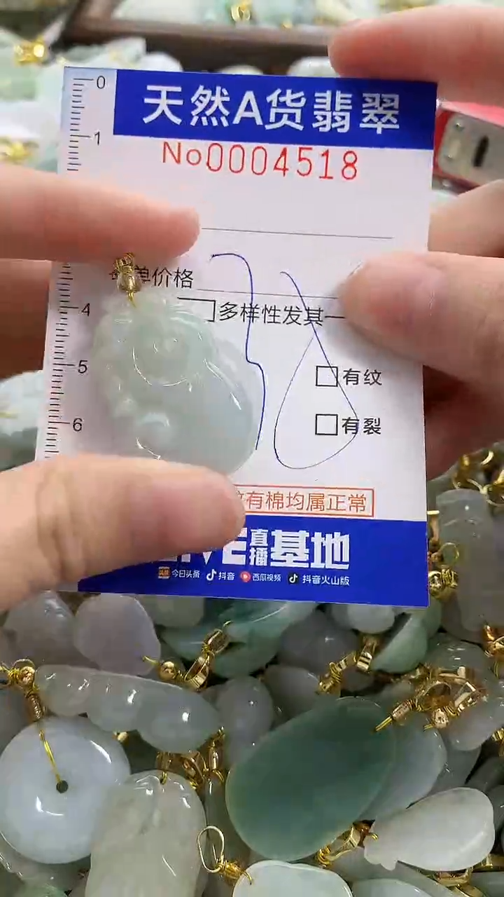 颈饰未镶嵌翡翠天然A货翡翠