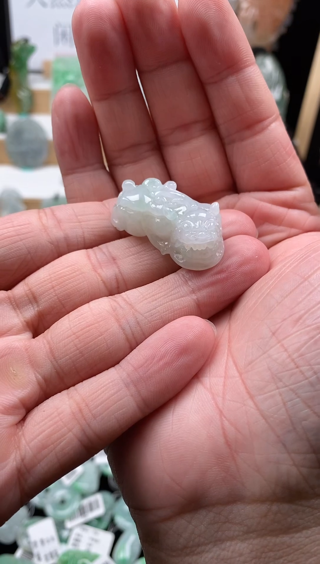 【闪购商品】翡翠颈饰未镶嵌143貔貅