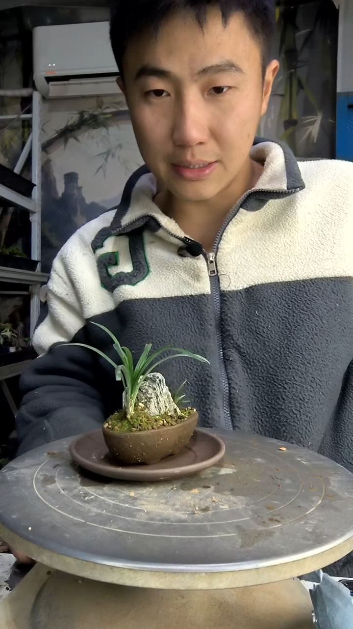 ?****?中青园艺一物一拍花32