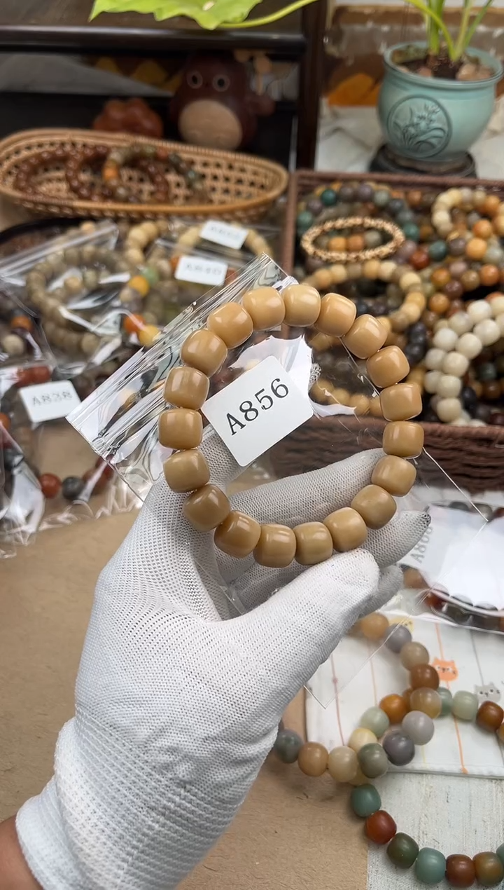 手串菩提根/象牙果初**阳a856 卡13.7 干磨海子