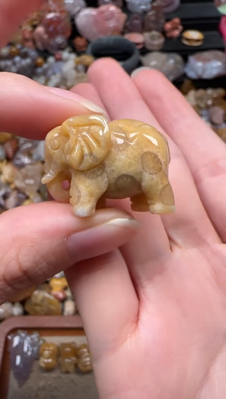 颈饰未镶嵌硅化珊瑚（珊瑚玉）579