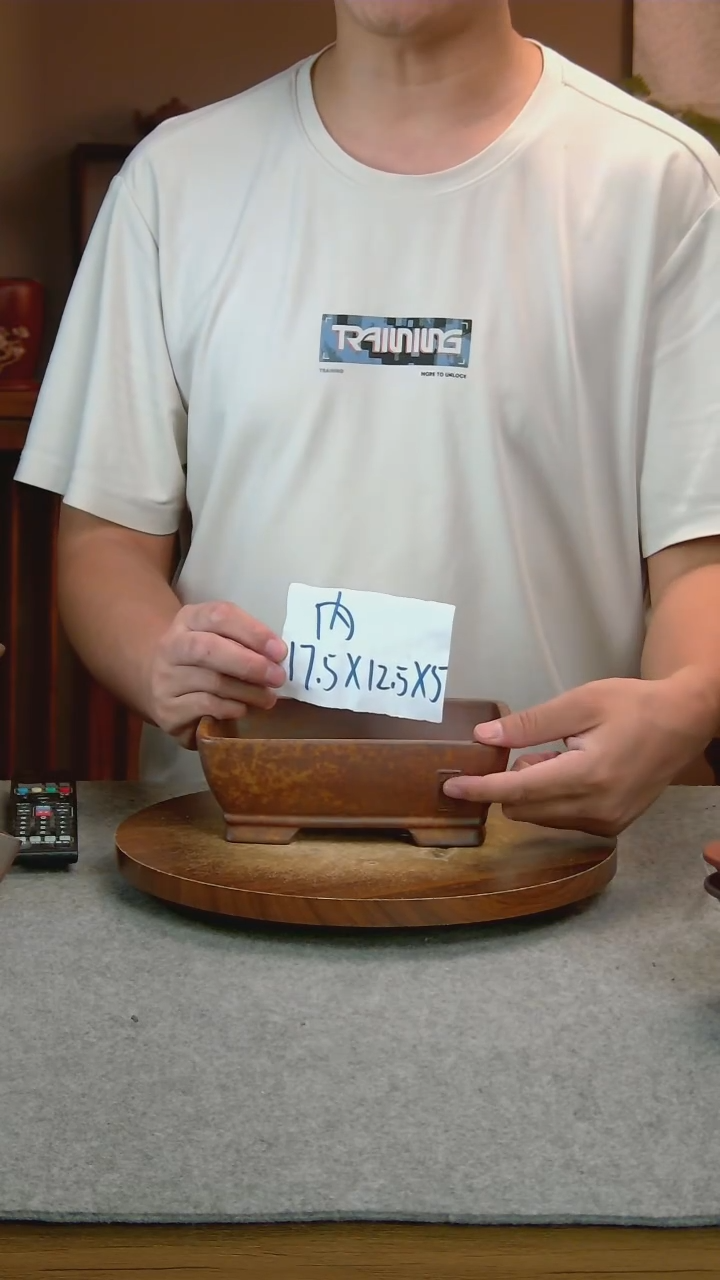 L93艾砂宜兴紫砂花盆