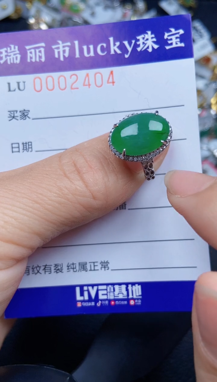 【闪购商品】翡翠颈饰银S925镶嵌2404