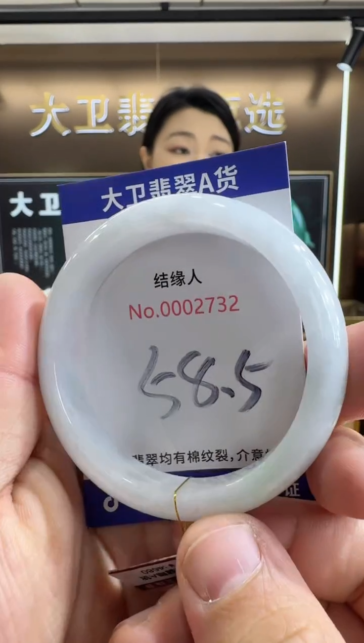 未镶嵌手镯翡翠天然缅甸a货