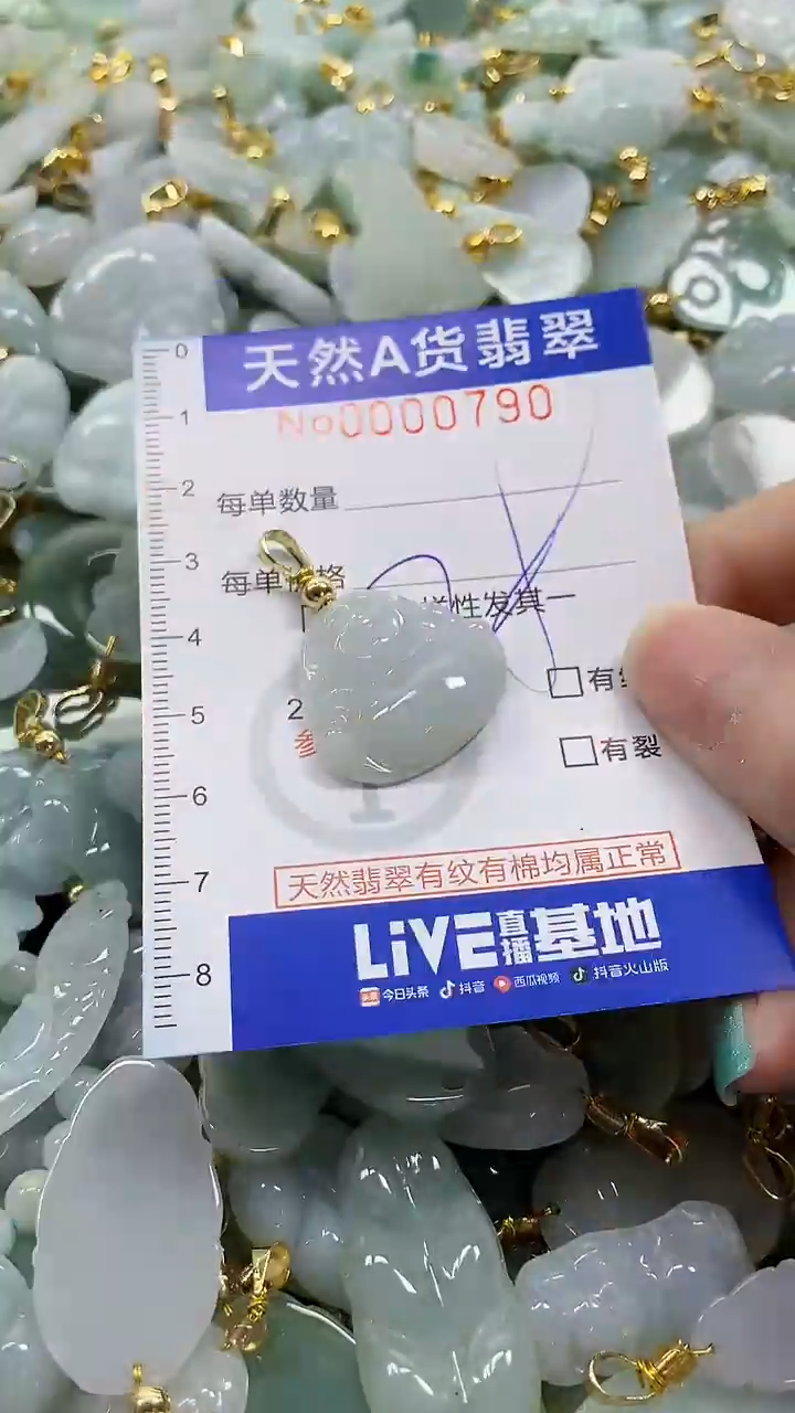 颈饰未镶嵌翡翠纯天然a货翡翠