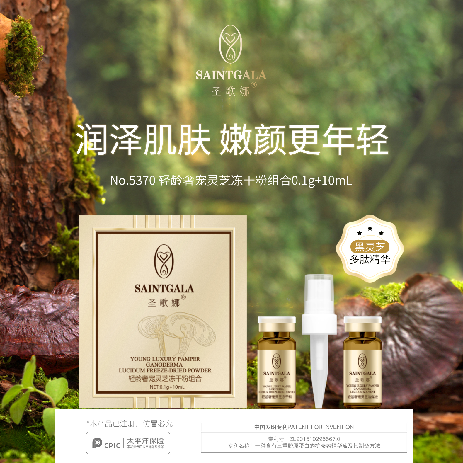 灵芝冻干粉【备注购买的产品】