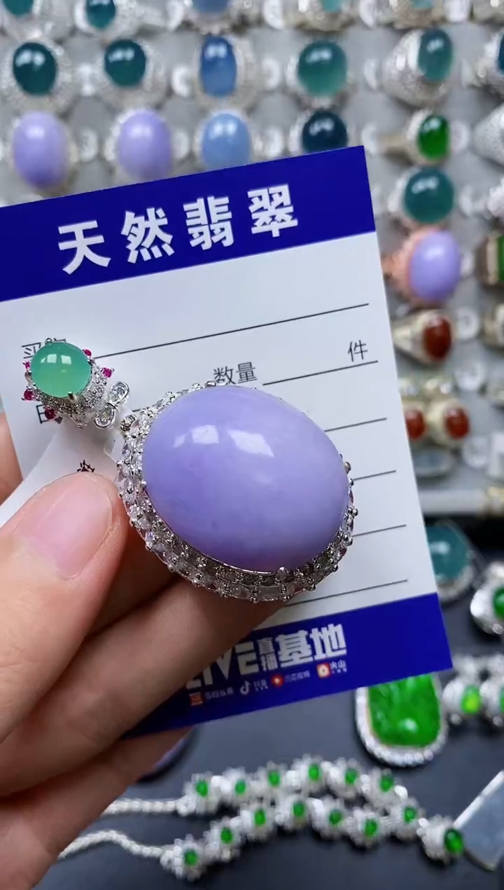 【闪购商品】翡翠颈饰未镶嵌00000389