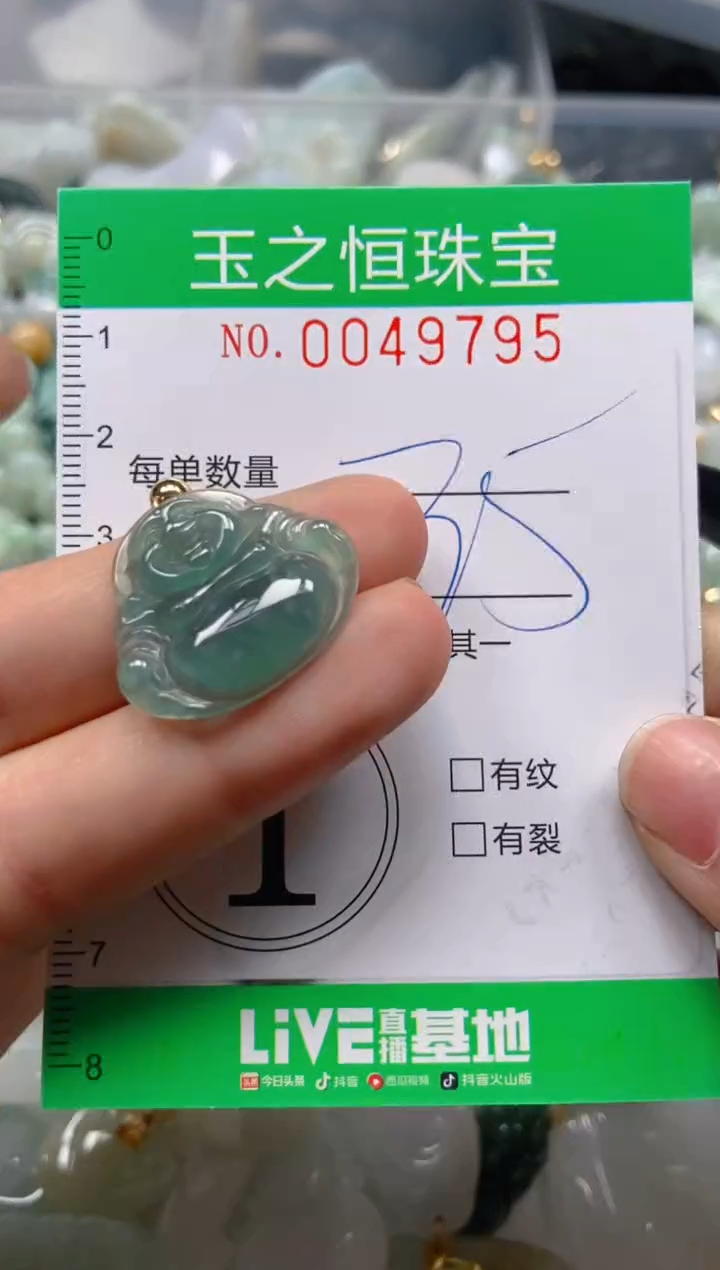 【闪购商品】翡翠颈饰未镶嵌闪购0049795